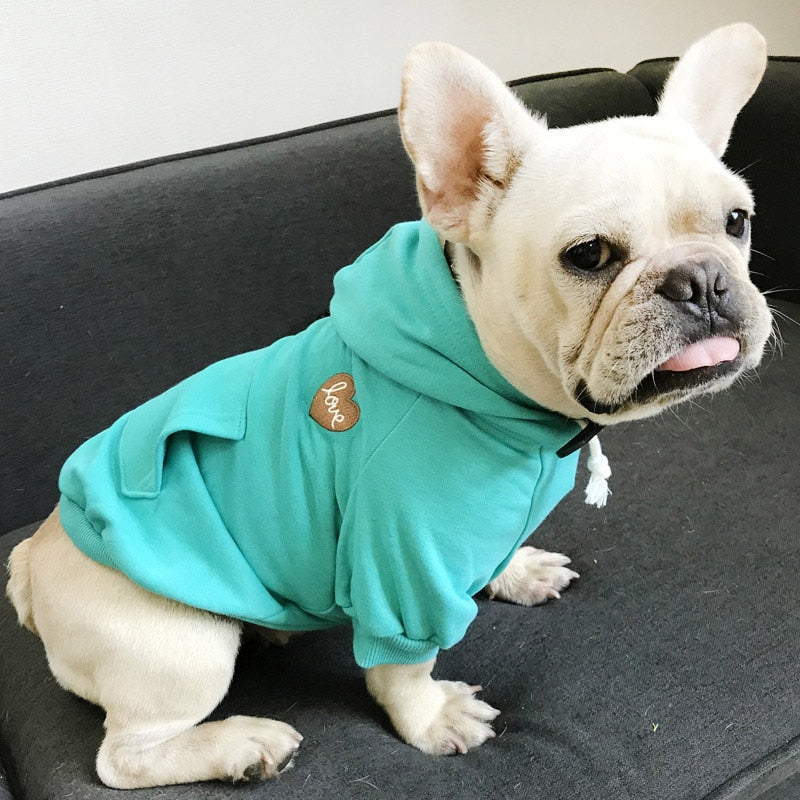 Pet and Owner Cute Matching Outfit for all Seasons