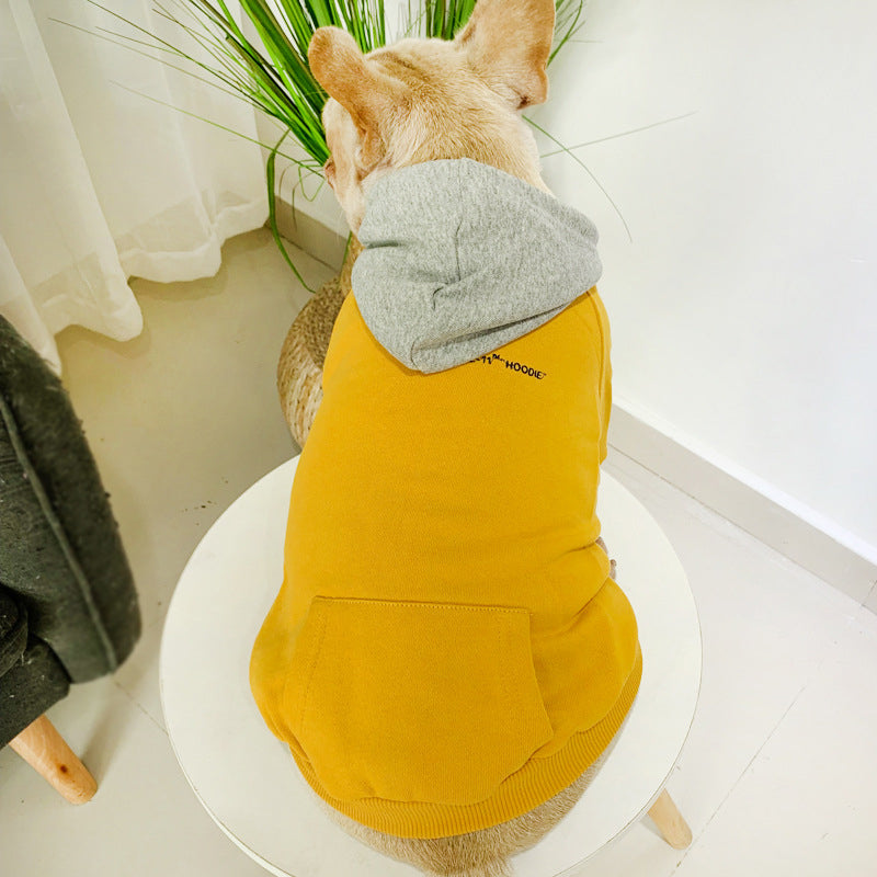 Matching Small Dog and Owner Hoodie