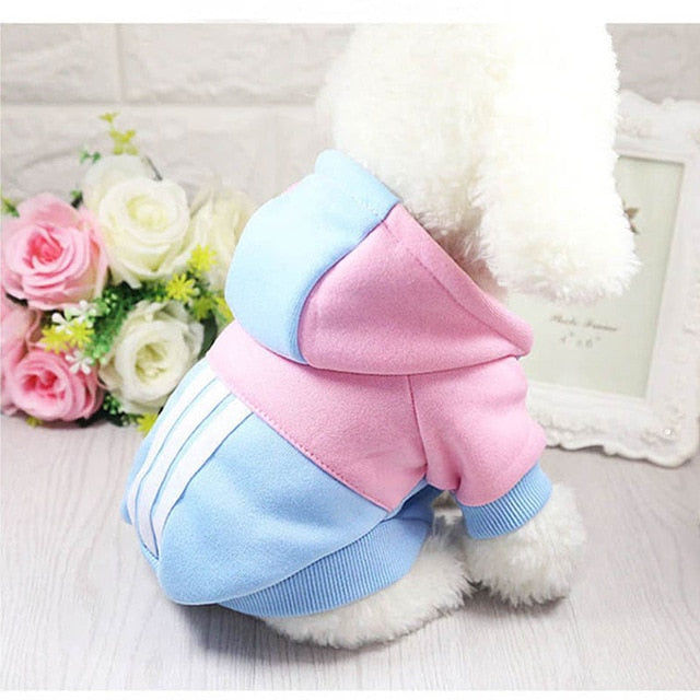 Winter Warm Puppy Coats - The Hoodie Store