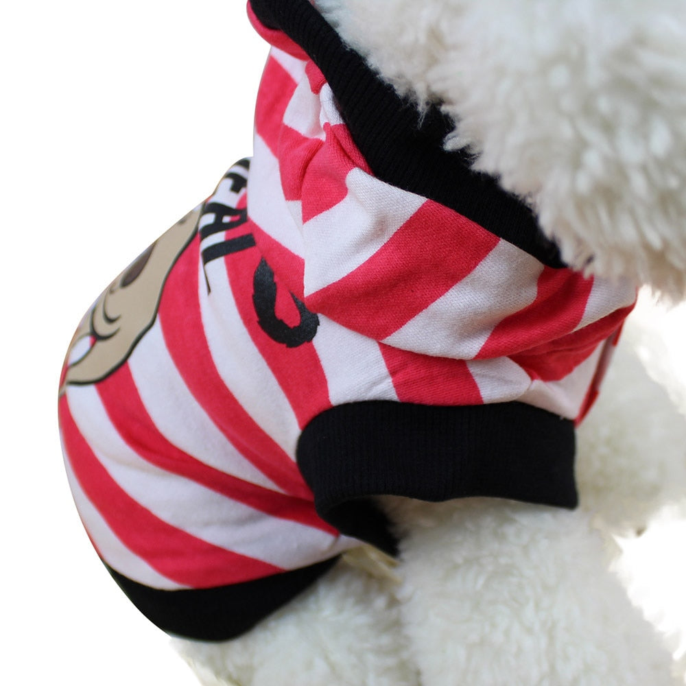 Transer Clothing For Dog Winter Hoodies - The Hoodie Store