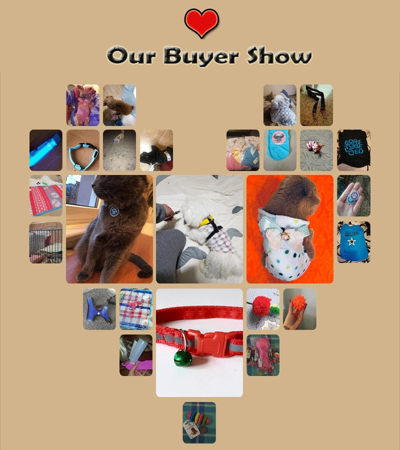 Transer Clothing For Dog Winter Hoodies - The Hoodie Store