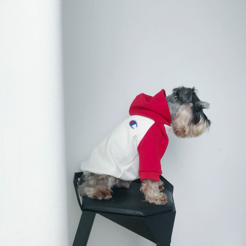 Teddy Schnauzer Puppy Winter Hoodie - The Hoodie Store