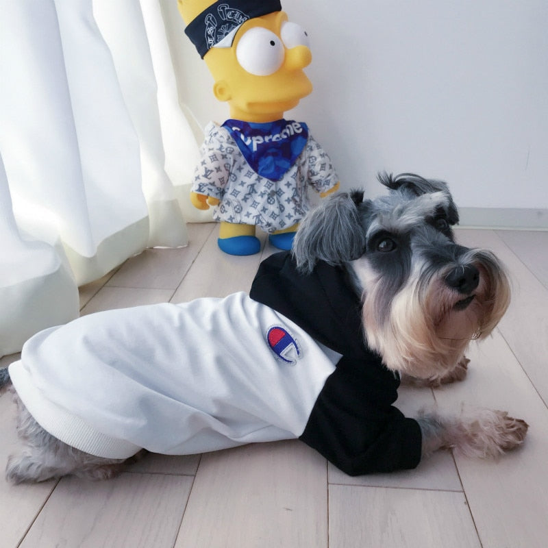 Teddy Schnauzer Puppy Winter Hoodie - The Hoodie Store
