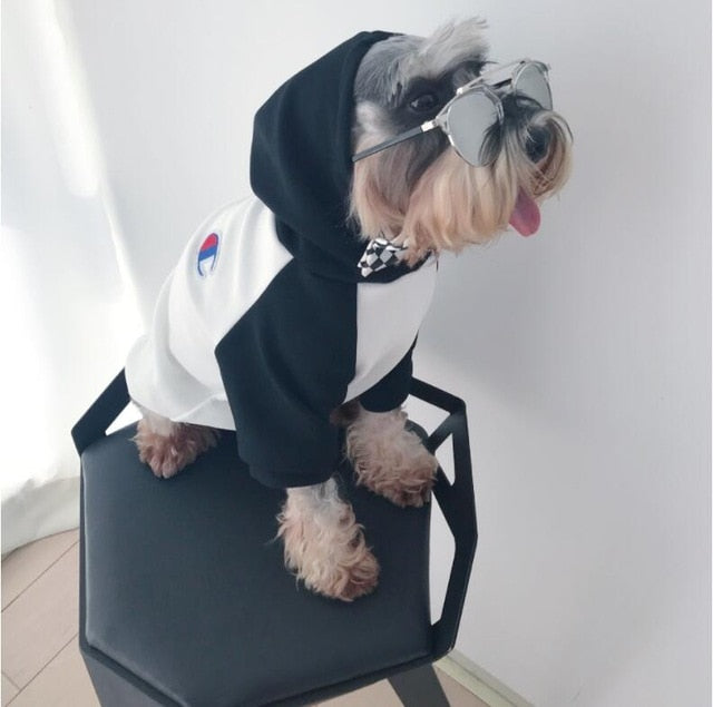Teddy Schnauzer Puppy Winter Hoodie - The Hoodie Store