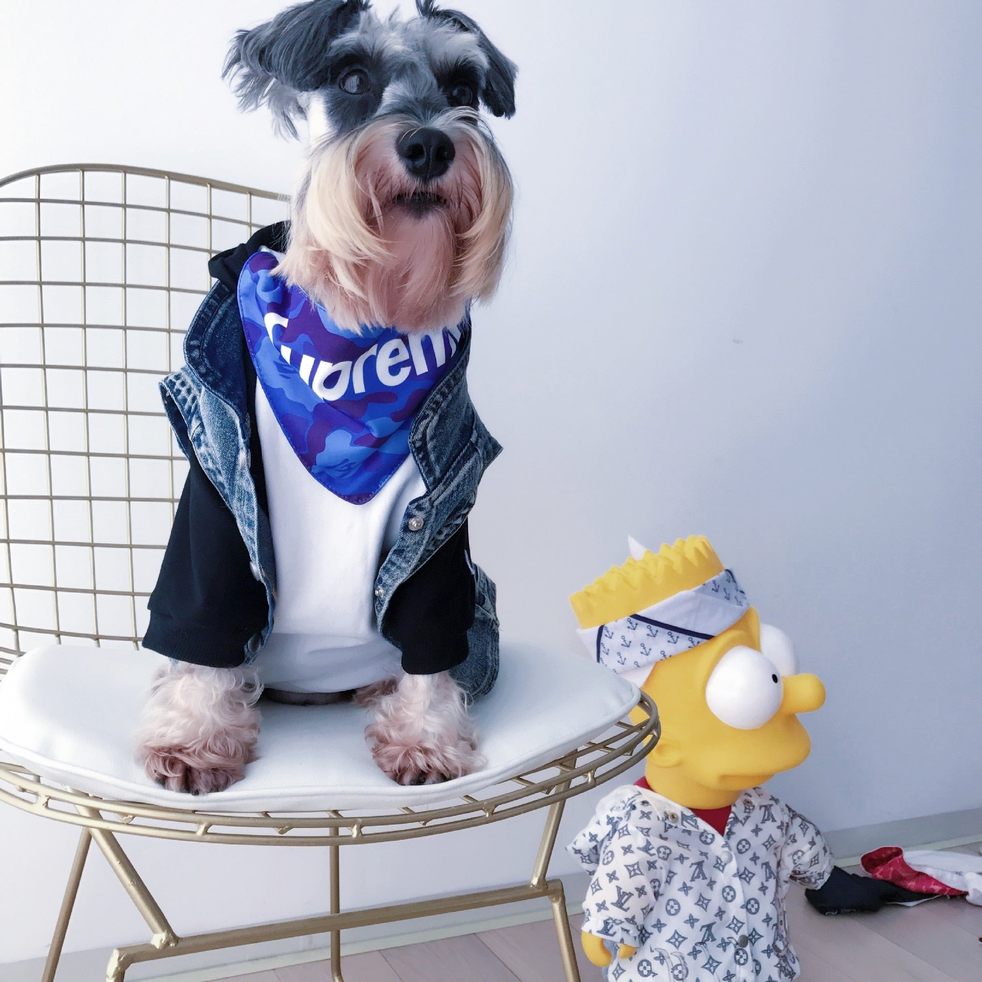 Teddy Schnauzer Puppy Winter Hoodie - The Hoodie Store