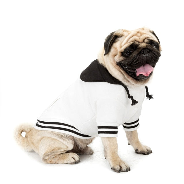 GLORIOUS KEK Fall/Winter Dog Hoodies - The Hoodie Store