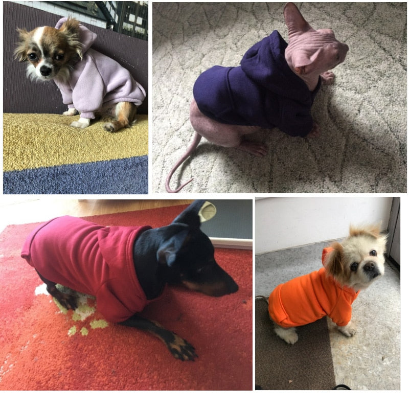 Winter Warm Hoodie Sweater For Dogs 7 Pets - The Hoodie Store