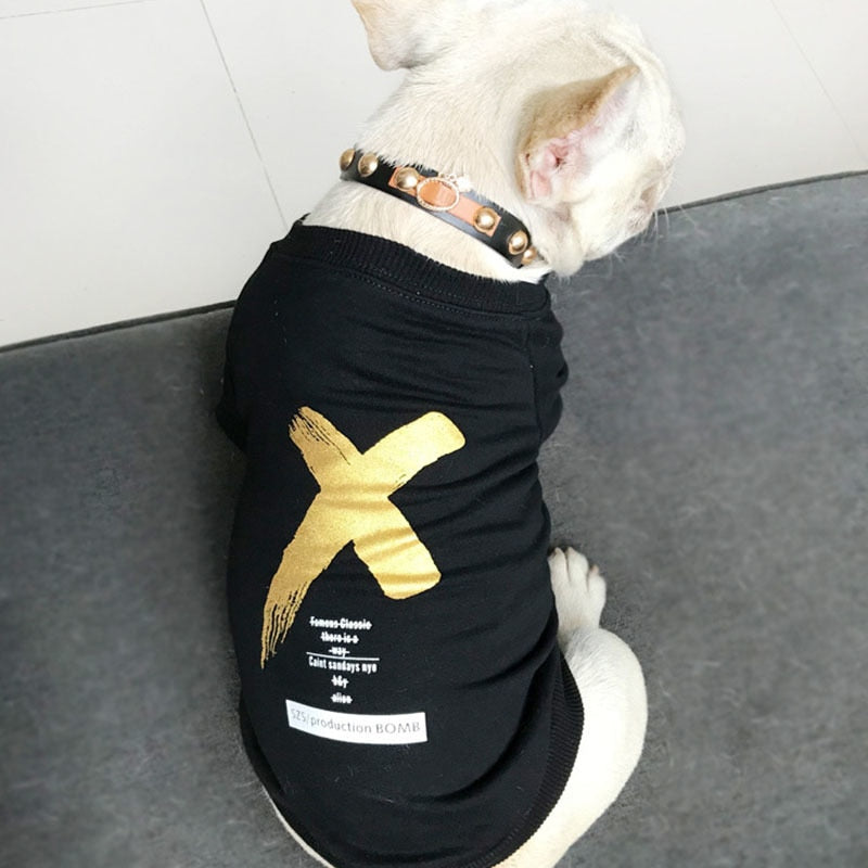 Comfortable Spring Hoodie For Pet & Owner - The Hoodie Store