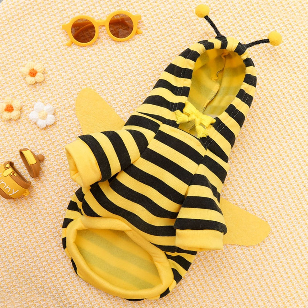 Fancy Bee Outfit for Puppies