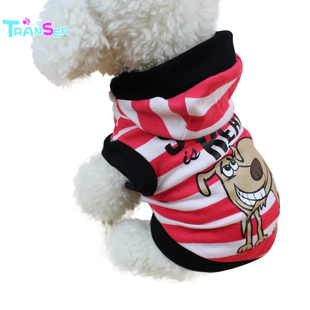 Transer Clothing For Dog Winter Hoodies - The Hoodie Store