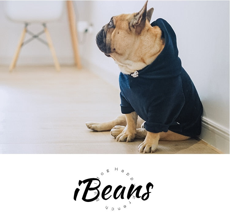 New Dog Clothe Hoodies for Winter - The Hoodie Store