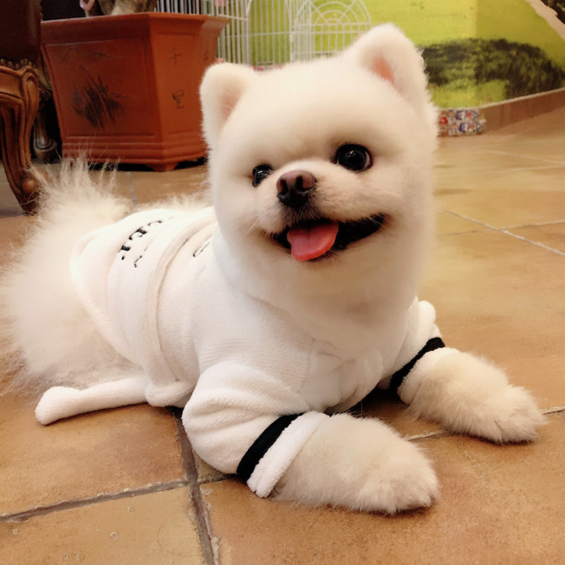 Bichon pajamas hot sale