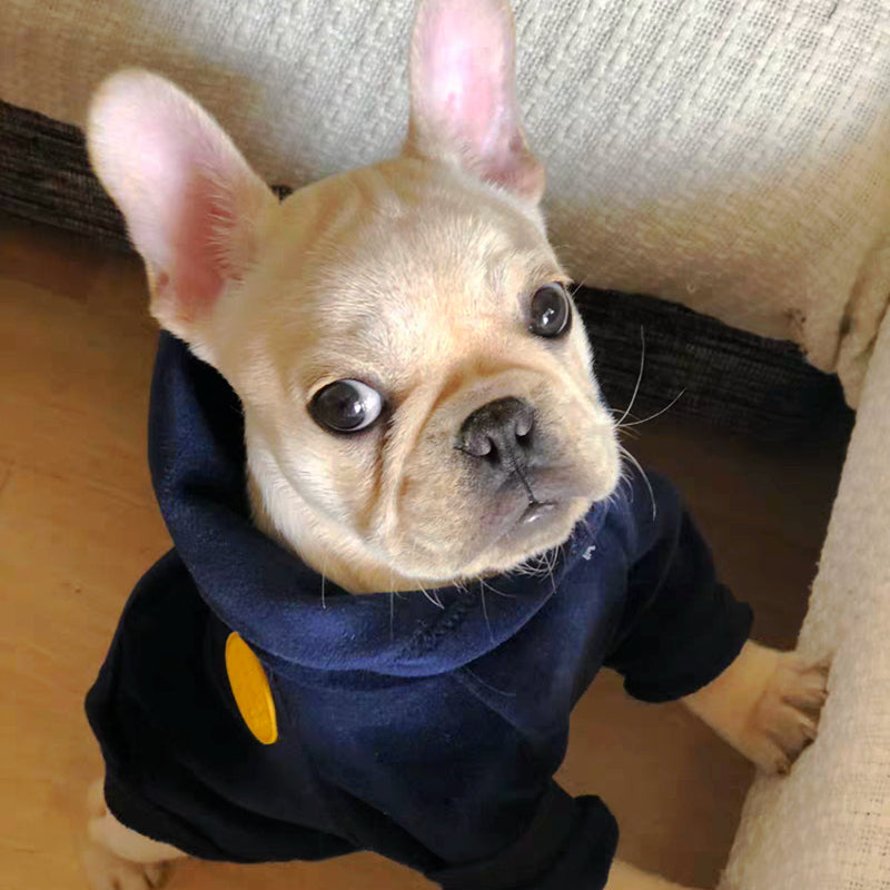 New Dog Clothe Hoodies for Winter - The Hoodie Store